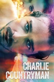 The Necessary Death of Charlie Countryman 2013